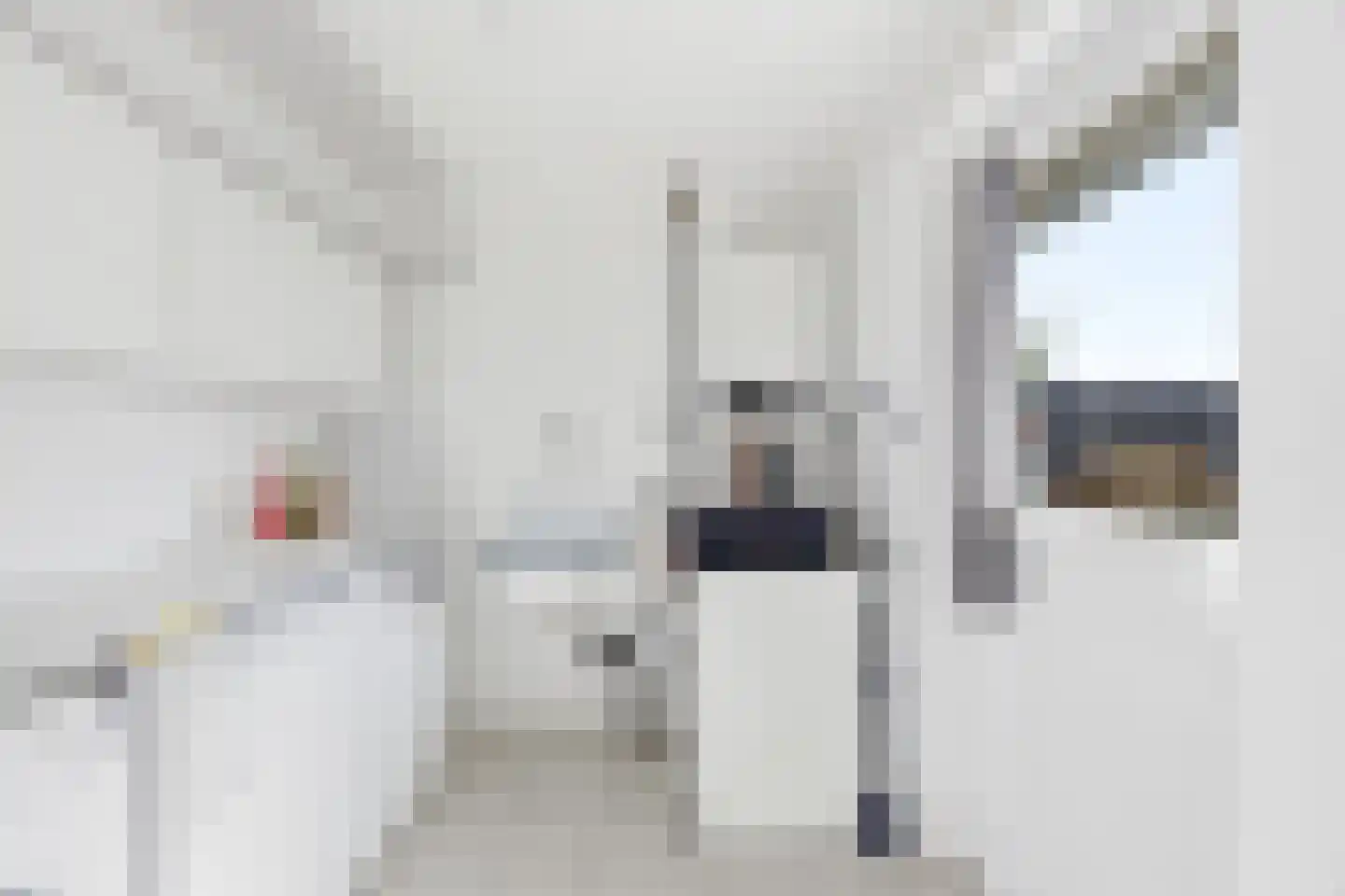 Zonnemare 8 Axel thumbnail 15