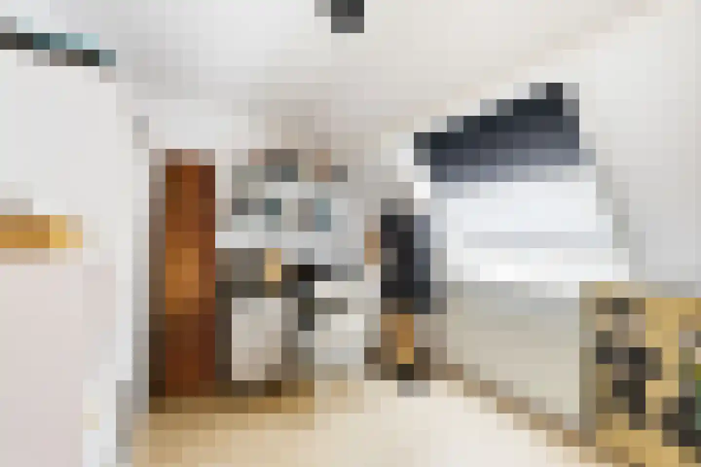 Zonnemare 8 Axel thumbnail 19