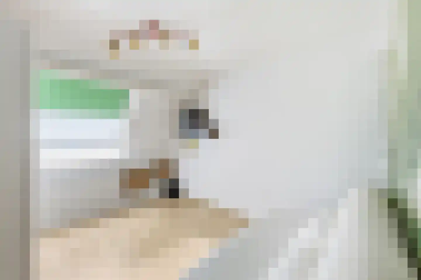 Zonnemare 8 Axel thumbnail 20