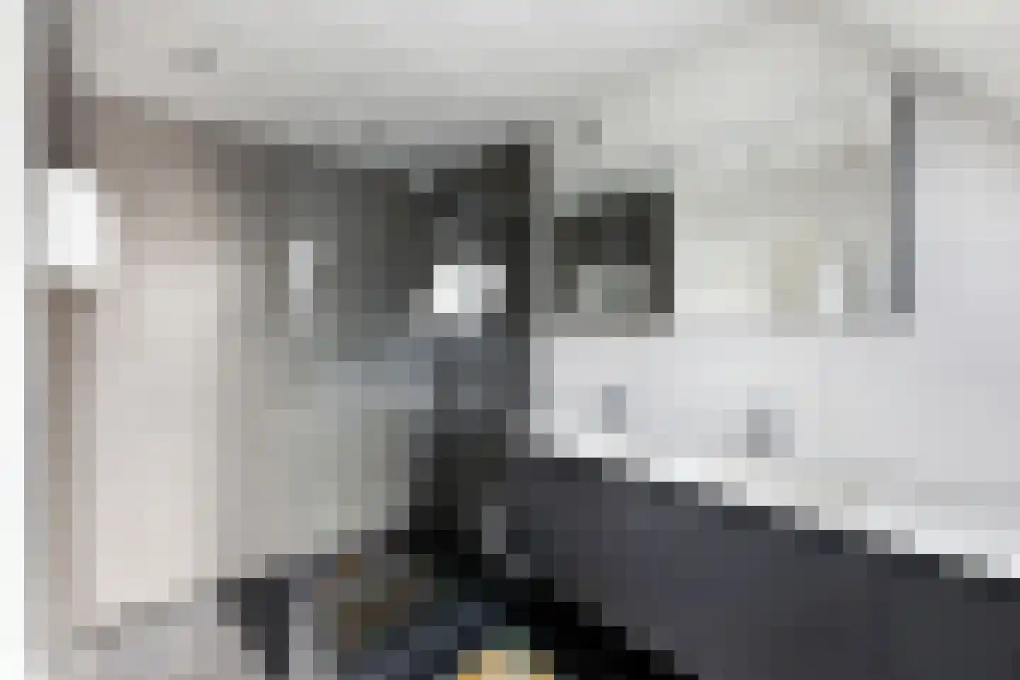 Zonnemare 8 Axel thumbnail 22