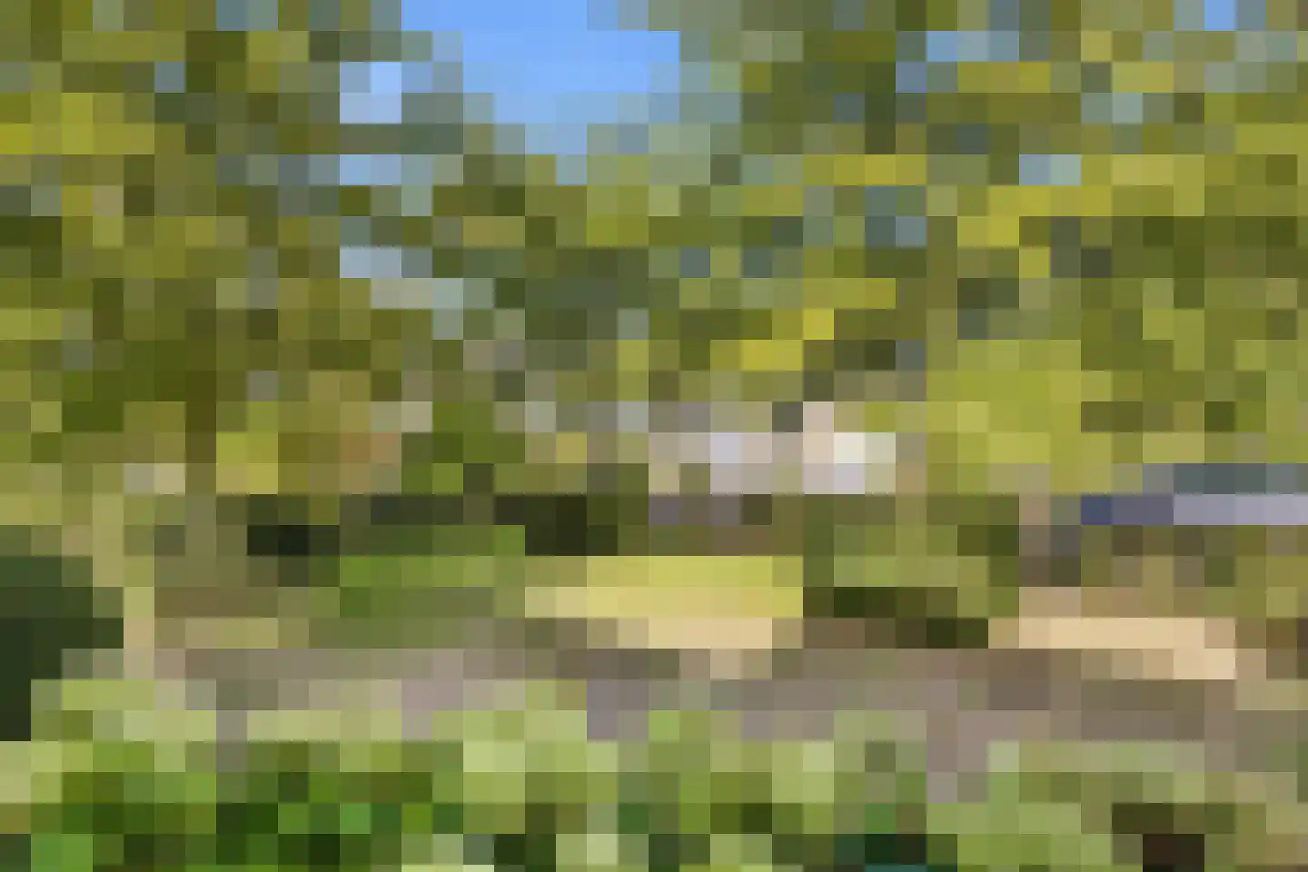Zonnemare 8 Axel thumbnail 26