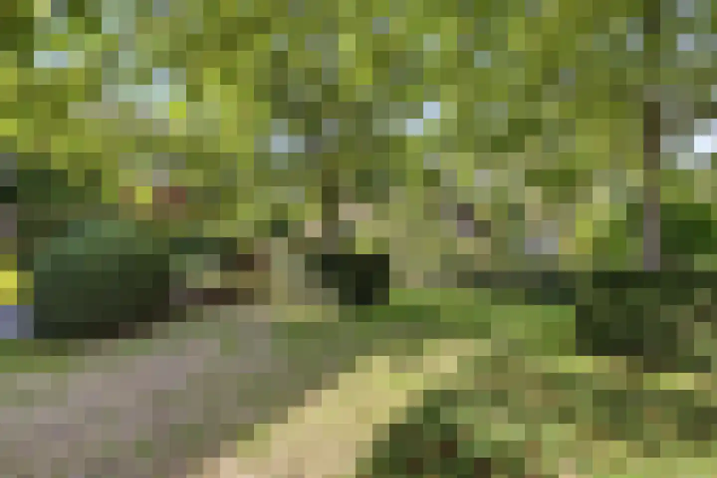 Zonnemare 8 Axel thumbnail 27