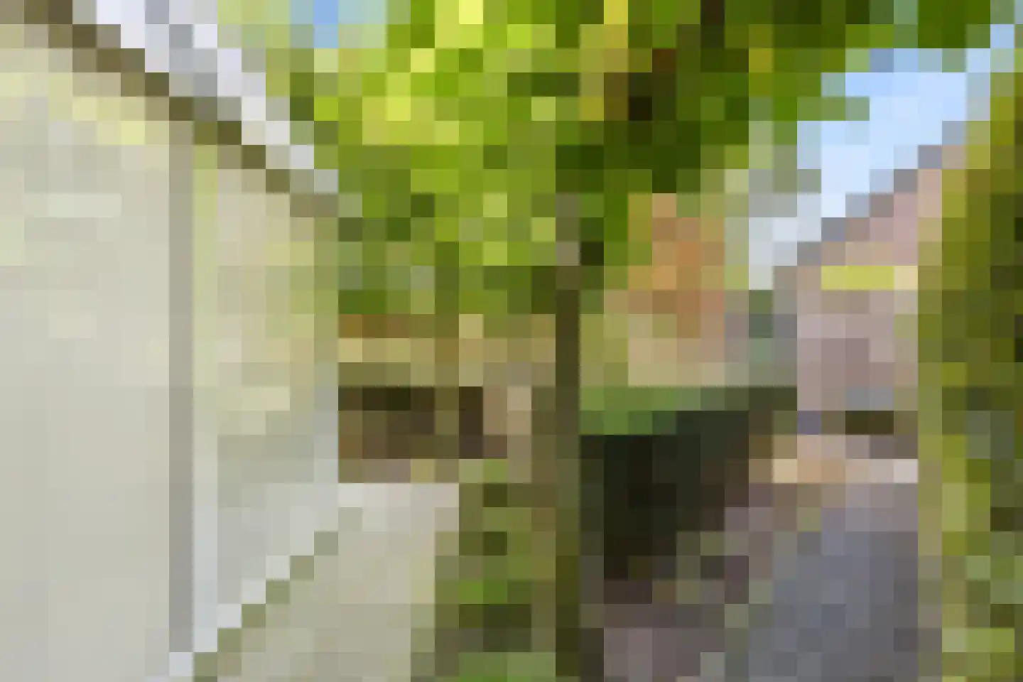 Zonnemare 8 Axel thumbnail 28