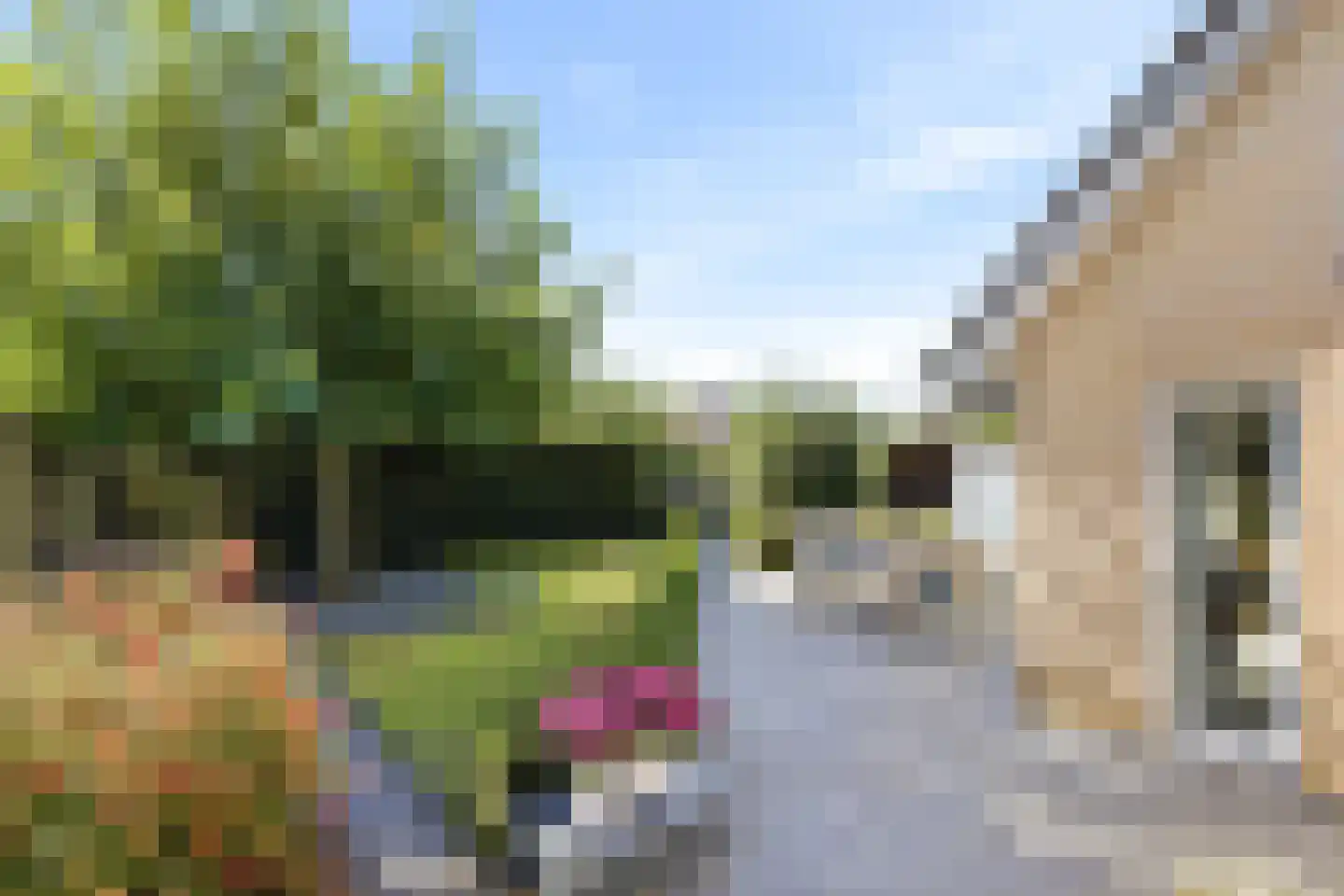 Zonnemare 8 Axel thumbnail 29