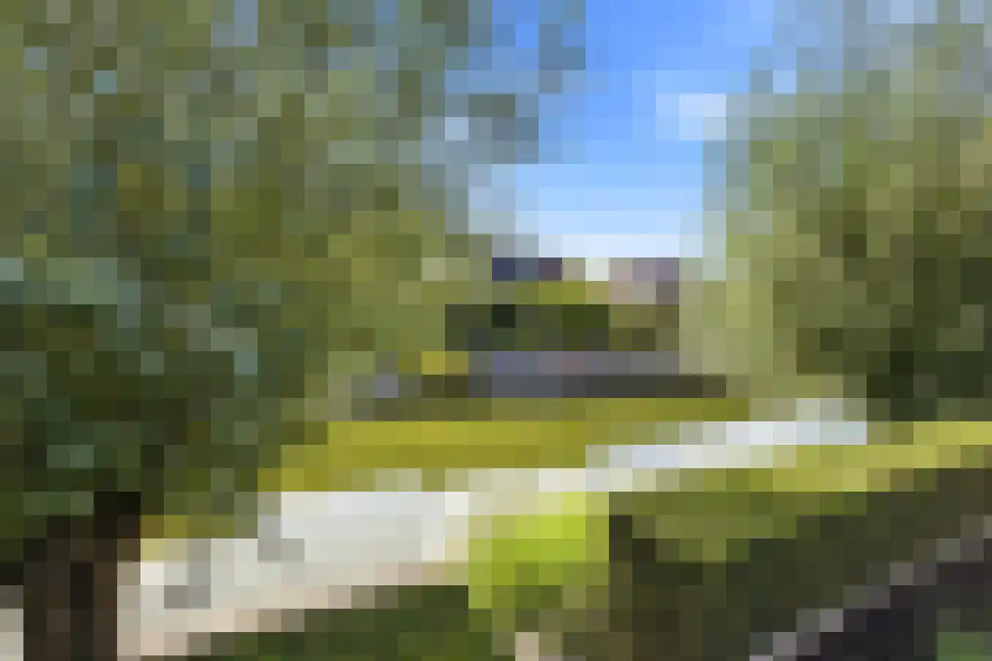 Zonnemare 8 Axel thumbnail 33