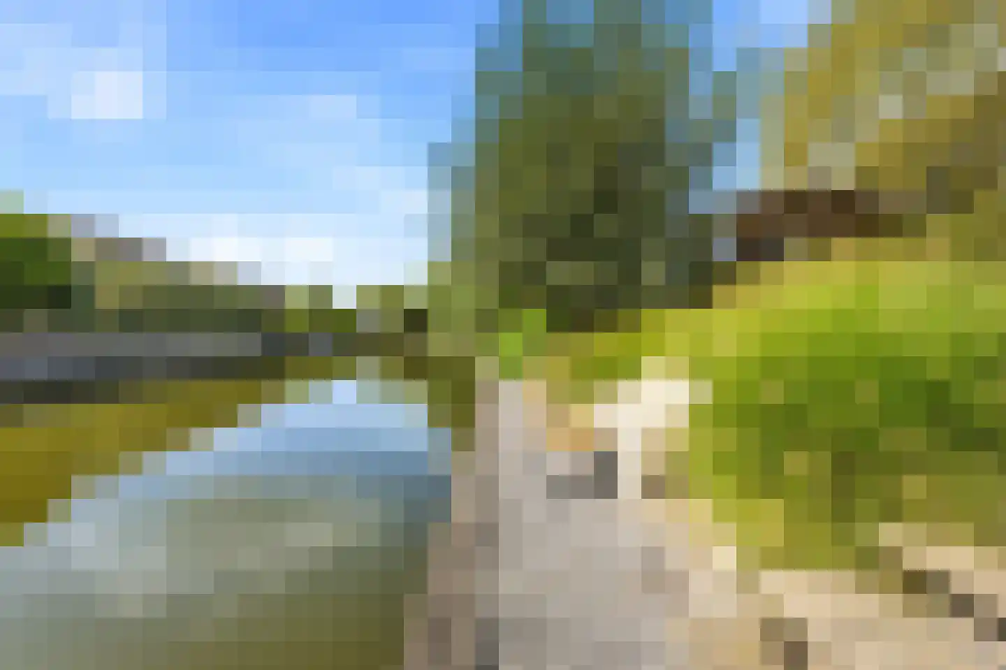 Zonnemare 8 Axel thumbnail 34