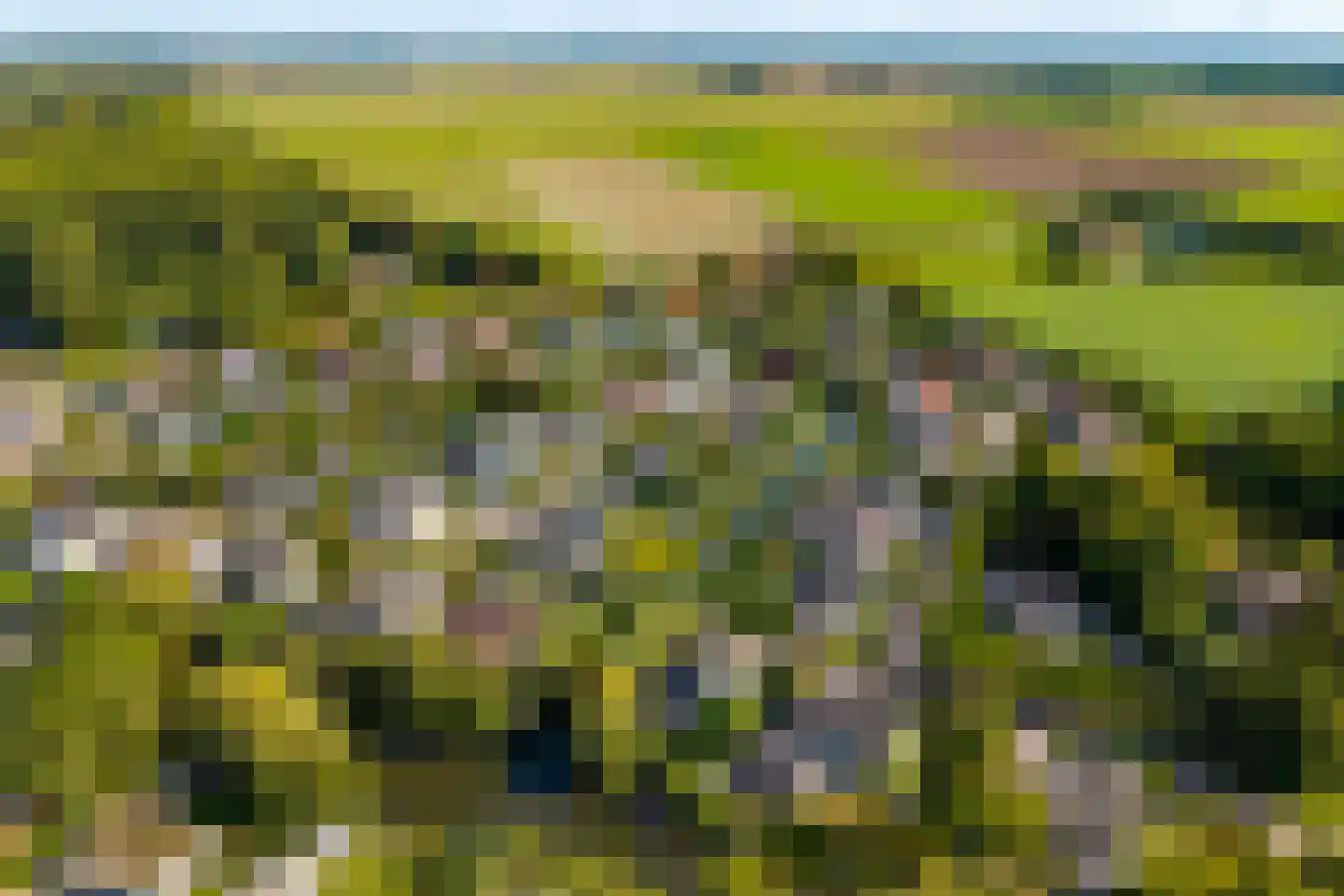 Zonnemare 8 Axel thumbnail 35
