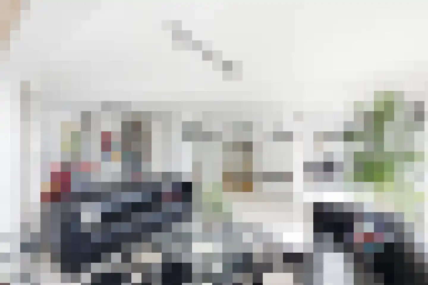 Zonnemare 8 Axel thumbnail 4