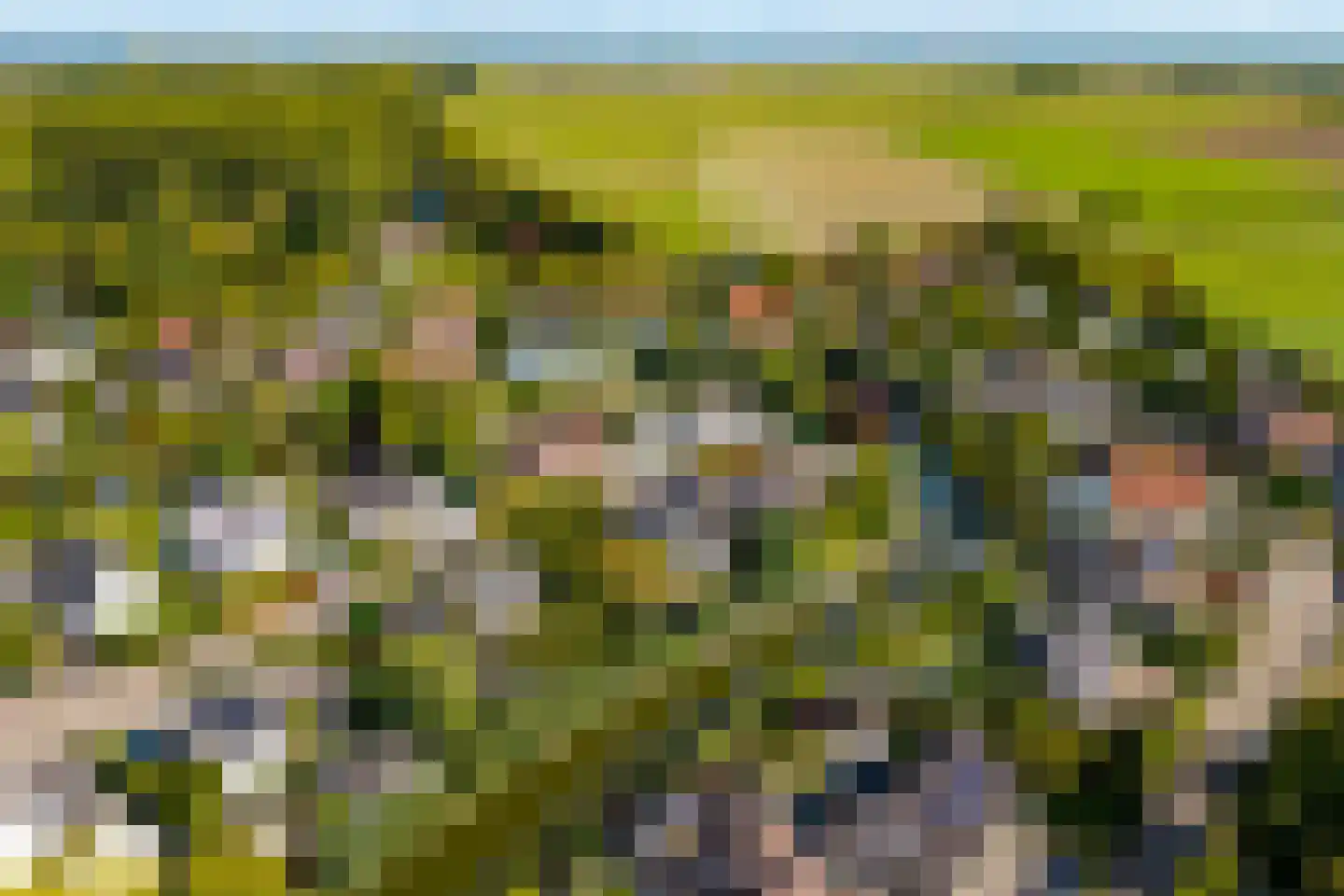 Zonnemare 8 Axel thumbnail 5