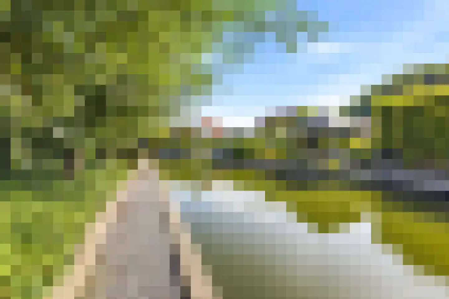 Zonnemare 8 Axel thumbnail 6