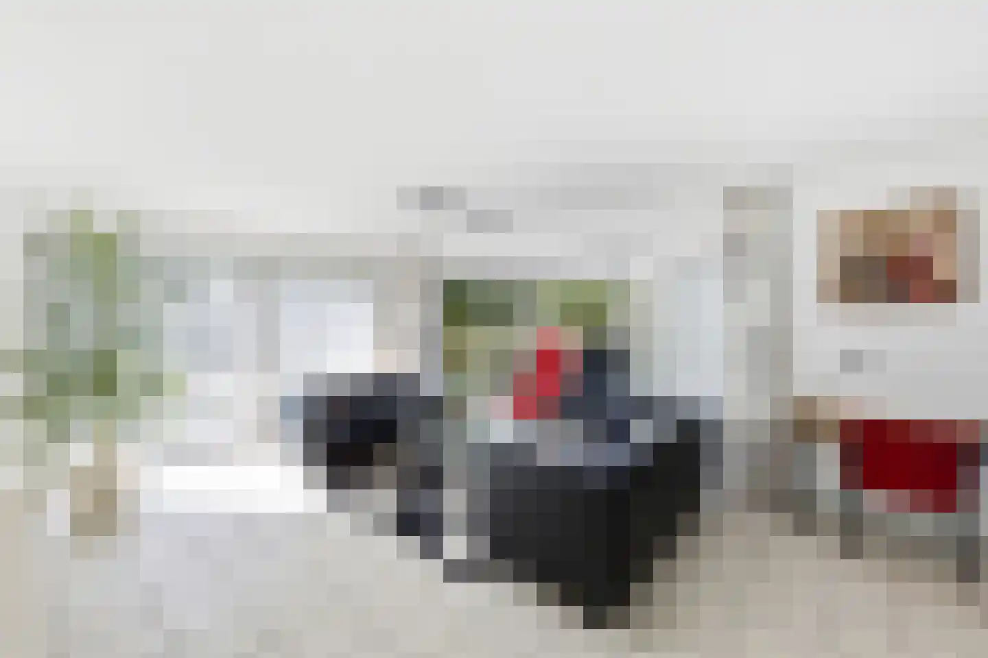 Zonnemare 8 Axel thumbnail 9