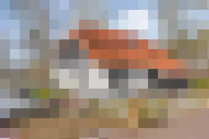 Zonnenbergerdijk 2 006 in Heeten