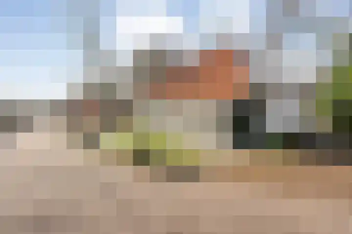 Zonnenbergerdijk 2 006 Heeten thumbnail 4