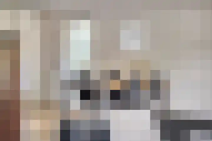 Zonnenbergerdijk 2 017 Heeten thumbnail 10