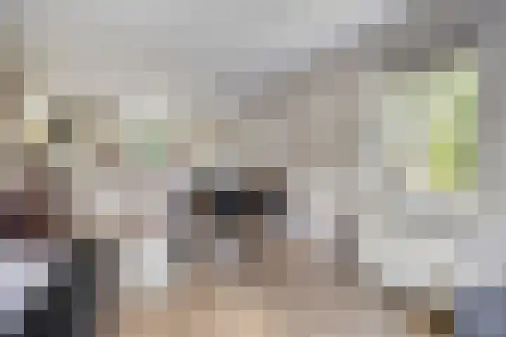 Zonnenbergerdijk 2 017 Heeten thumbnail 12