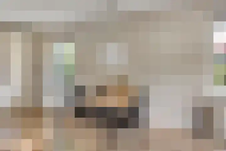 Zonnenbergerdijk 2 017 Heeten thumbnail 13