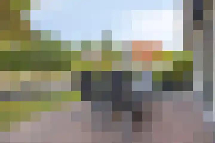 Zonnenbergerdijk 2 017 Heeten thumbnail 28