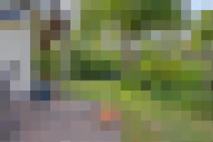 Zonnenbergerdijk 2 017 Heeten thumbnail 30