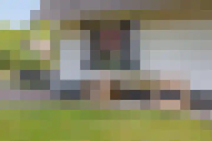 Zonnenbergerdijk 2 017 Heeten thumbnail 32