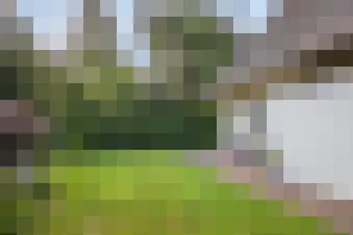 Zonnenbergerdijk 2 017 Heeten thumbnail 36