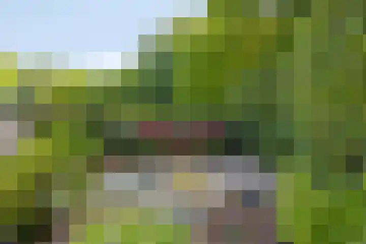 Zonnenbergerdijk 2 017 Heeten thumbnail 37