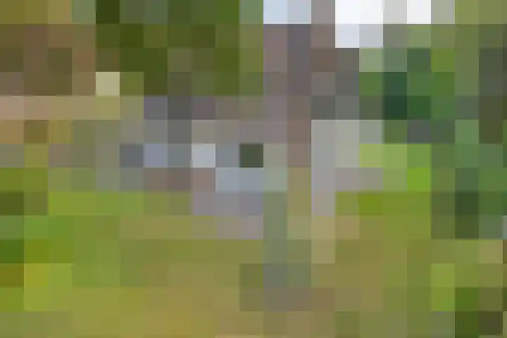 Zonnenbergerdijk 2 017 Heeten thumbnail 4
