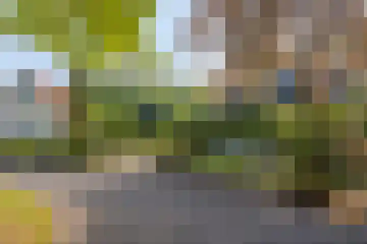 Zonnenbergerdijk 2 017 Heeten thumbnail 40