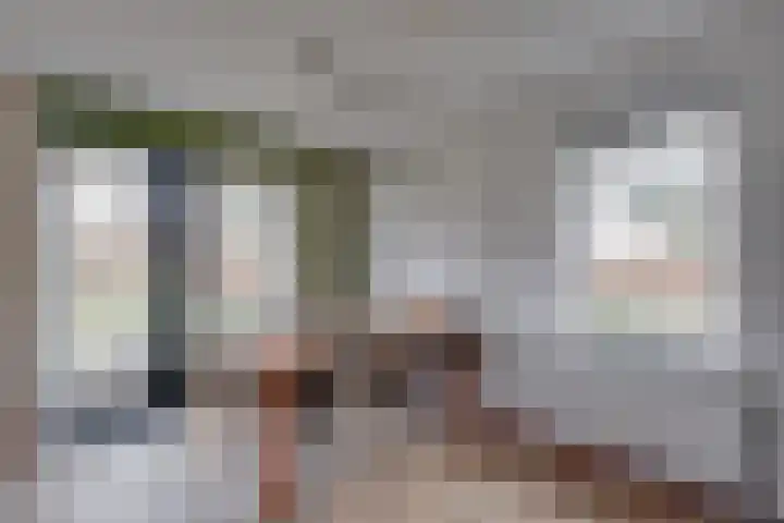 Zonnenbergerdijk 2 037 Heeten thumbnail 13