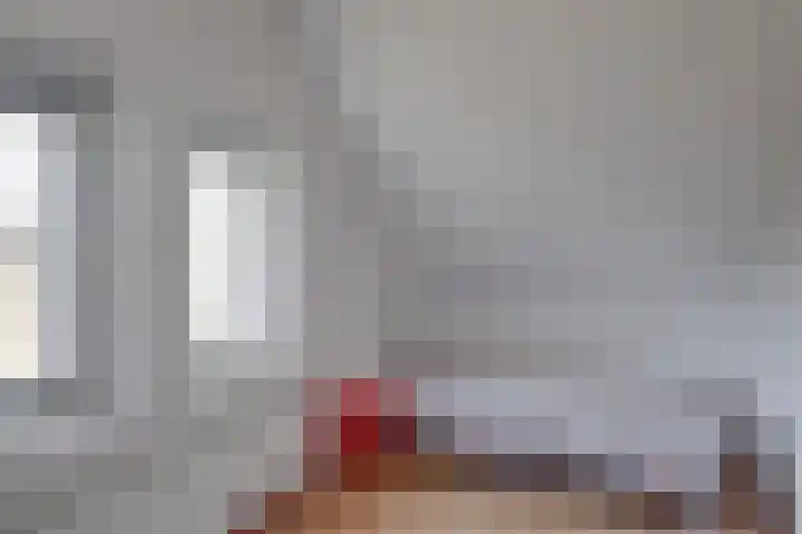 Zonnenbergerdijk 2 037 Heeten thumbnail 29