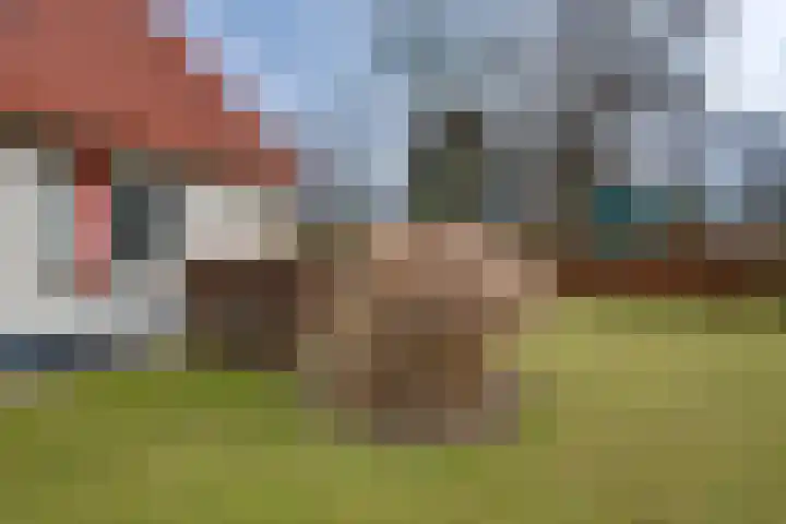 Zonnenbergerdijk 2 037 Heeten thumbnail 33