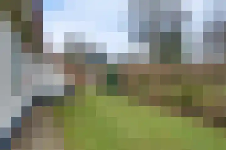 Zonnenbergerdijk 2 037 Heeten thumbnail 40