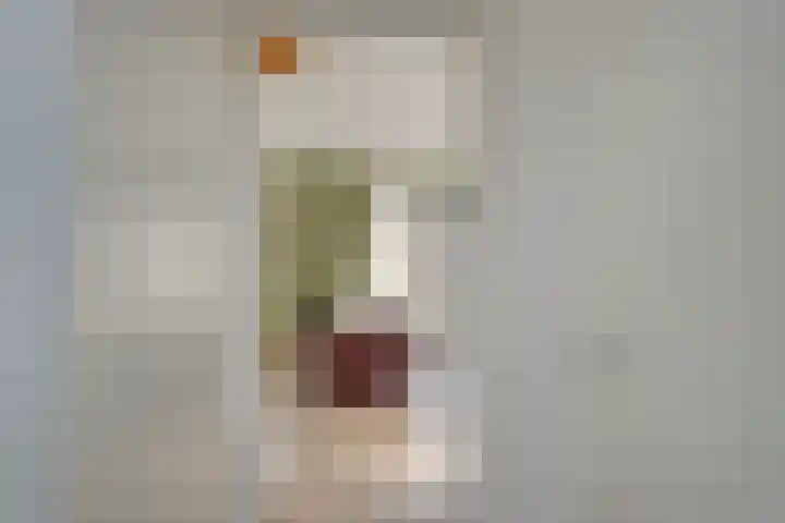 Zonnenbergerdijk 2 037 Heeten thumbnail 9