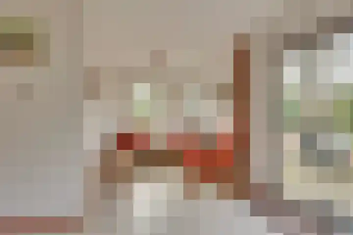 Zonnenbergerdijk 2 068 Heeten thumbnail 11