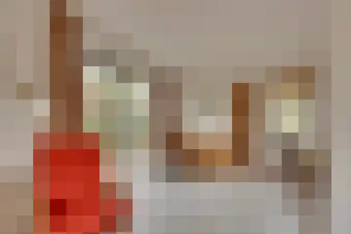 Zonnenbergerdijk 2 068 Heeten thumbnail 12