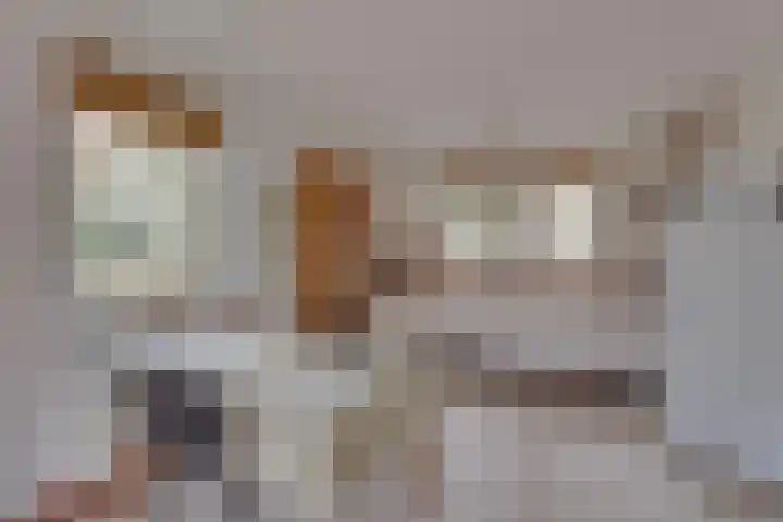 Zonnenbergerdijk 2 068 Heeten thumbnail 14