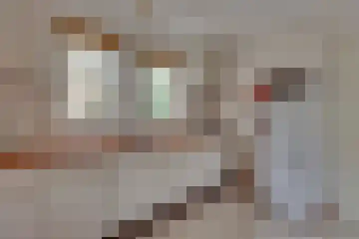 Zonnenbergerdijk 2 068 Heeten thumbnail 15