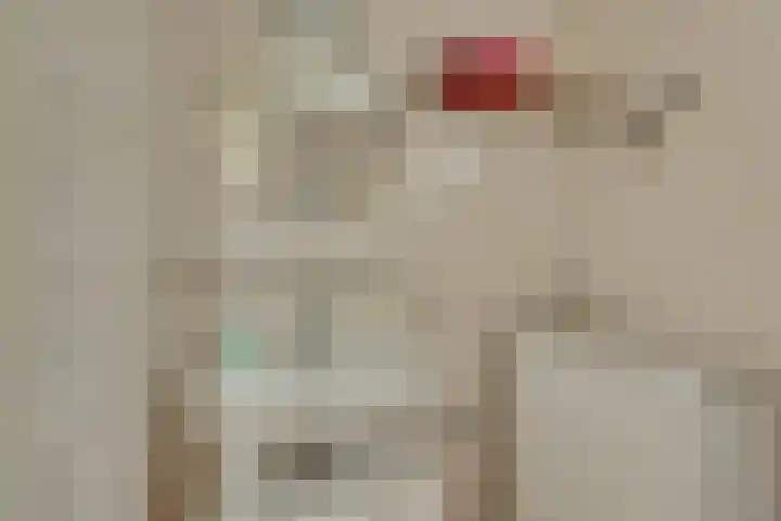 Zonnenbergerdijk 2 068 Heeten thumbnail 18