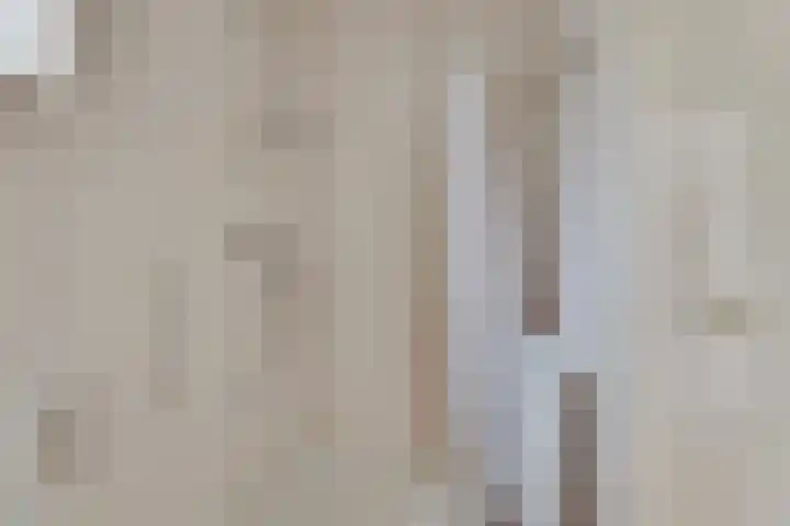 Zonnenbergerdijk 2 068 Heeten thumbnail 19