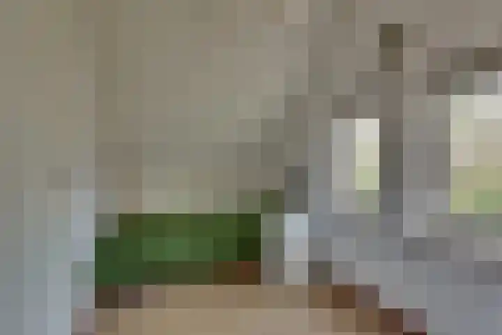 Zonnenbergerdijk 2 068 Heeten thumbnail 23