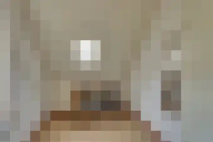 Zonnenbergerdijk 2 068 Heeten thumbnail 24