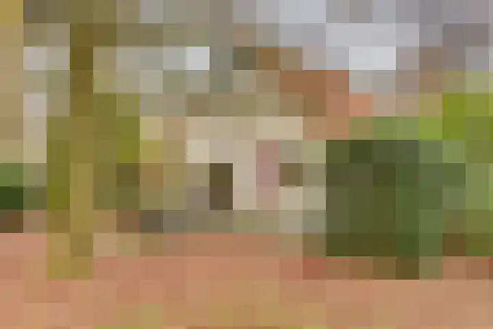 Zonnenbergerdijk 2 068 Heeten thumbnail 26