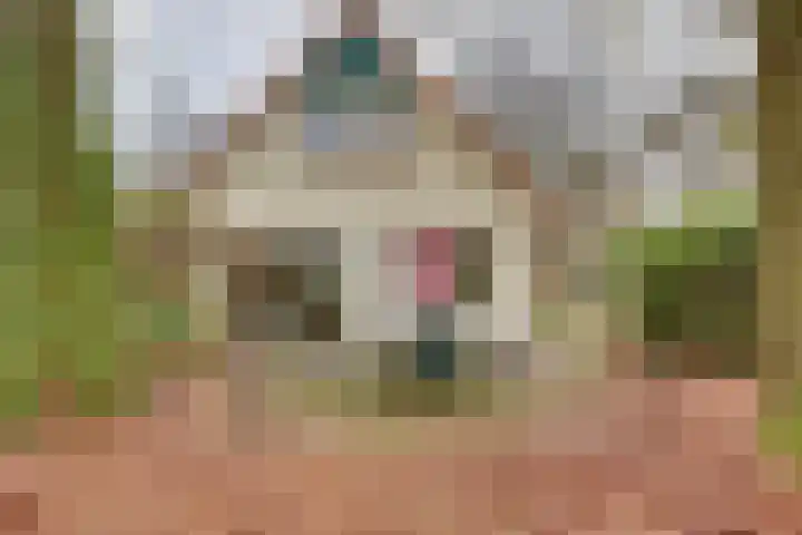 Zonnenbergerdijk 2 068 Heeten thumbnail 27