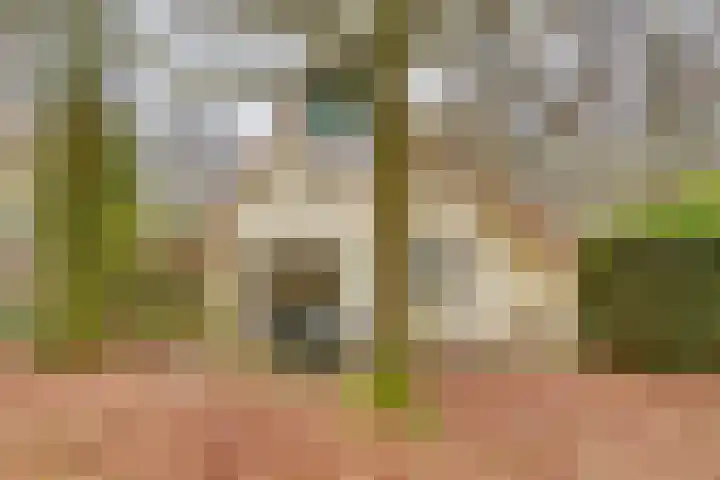 Zonnenbergerdijk 2 068 Heeten thumbnail 28