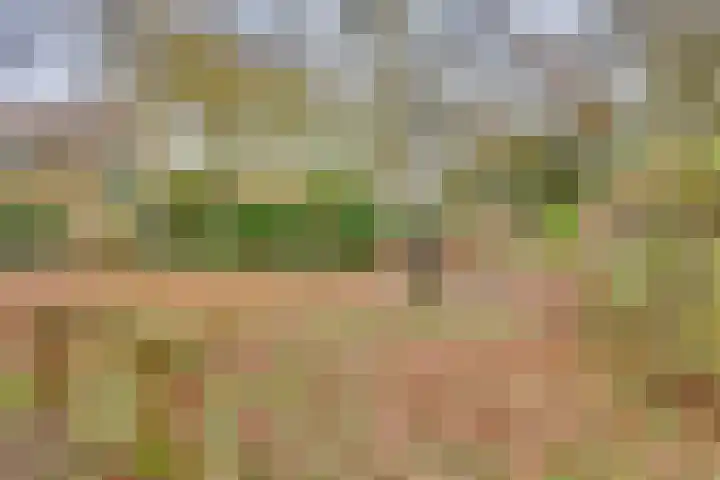 Zonnenbergerdijk 2 068 Heeten thumbnail 30