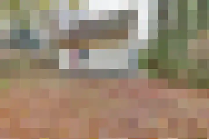 Zonnenbergerdijk 2 068 Heeten thumbnail 31
