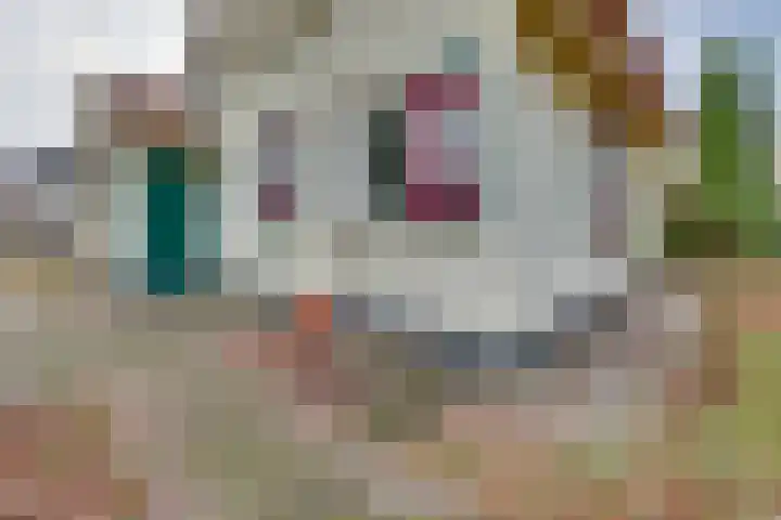 Zonnenbergerdijk 2 068 Heeten thumbnail 32