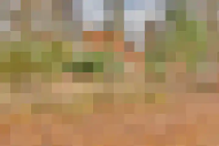 Zonnenbergerdijk 2 068 Heeten thumbnail 33