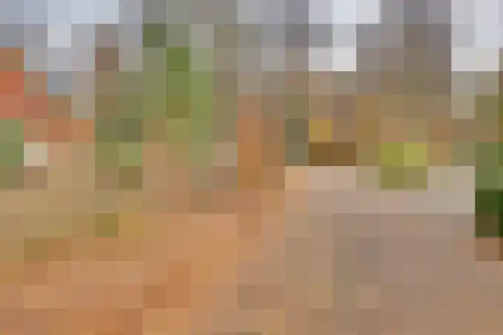 Zonnenbergerdijk 2 068 Heeten thumbnail 34