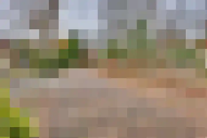 Zonnenbergerdijk 2 068 Heeten thumbnail 35