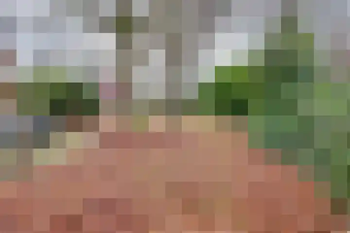 Zonnenbergerdijk 2 068 Heeten thumbnail 6